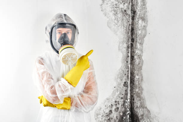 Best Asbestos and Lead Testing During Mold Inspection  in Navasota, TX