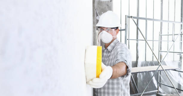 Best Mold Removal for HVAC Installations  in Navasota, TX