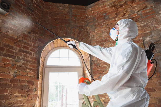 Best Mold Prevention Services  in Navasota, TX